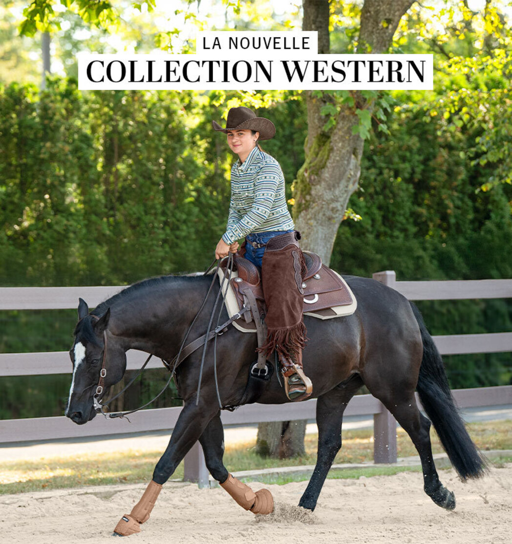 Cheval Fille Magasin D'équitation, équipement Cheval Cavalier