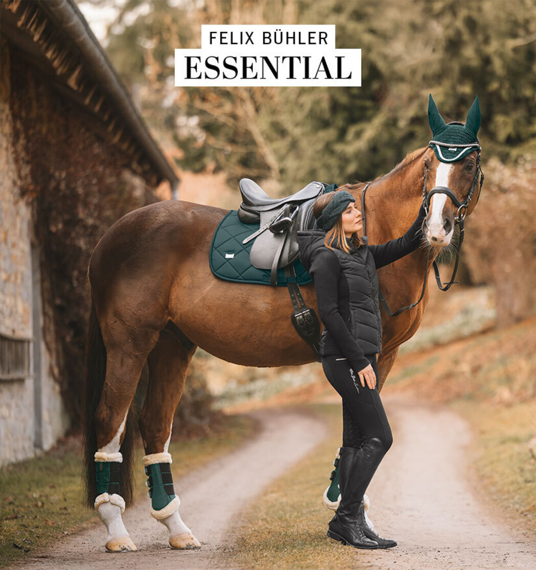 Kramer Equitation | Sellerie en ligne et matériel d'équitation