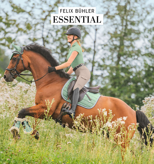 Kramer Equitation | Sellerie en ligne et matériel d'équitation