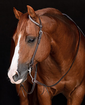Mors De Filet Pour Cheval - Acier Inoxydable, équitation Western Ou Classique