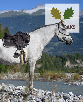 TWIN OAKS - Accessoires chevaux