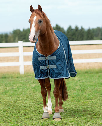 Couvertures pour chevaux western & accessoires