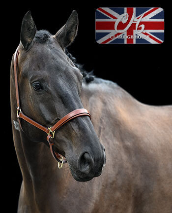 CLARIDGE HOUSE Licols