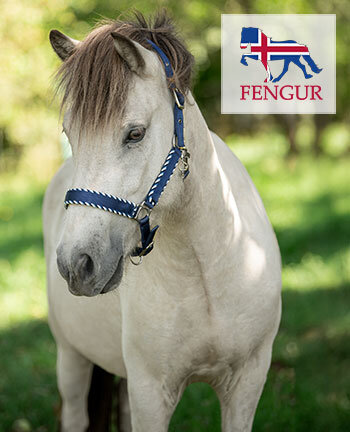 FENGUR Accessoires pour chevaux