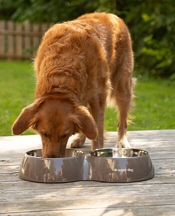 Gamelles & accessoires de voyage pour chien