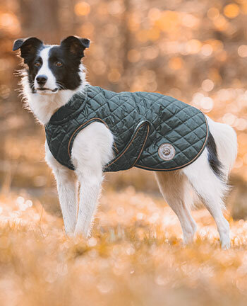 Manteaux d'hiver avec garnissage, � partir de 50g