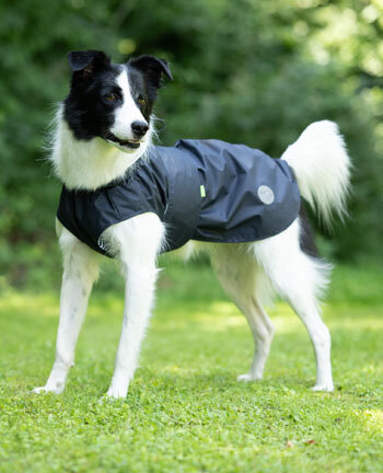 Vestes & manteaux pour chien