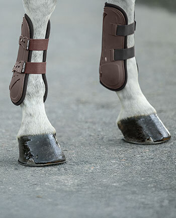 Protection des membres