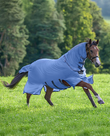 Protections anti-mouches