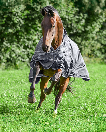 Couvertures pour chevaux