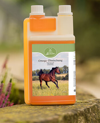 Alimentation pour chevaux