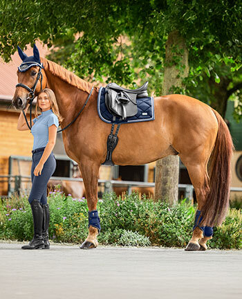 Collections pour chevaux