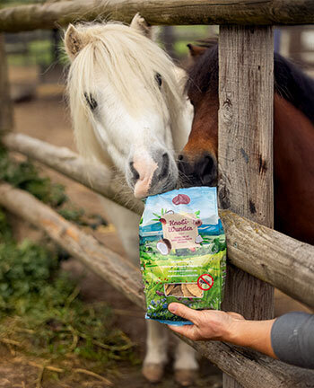 Friandises & r�compenses