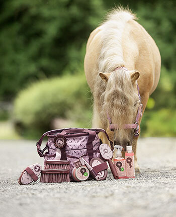 Articles de pansage pour enfants