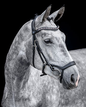 Bridons Mix & Match PRO