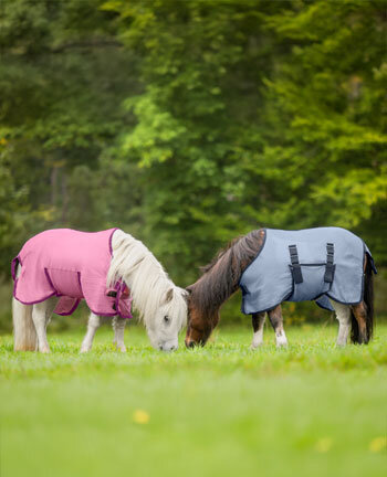 Protection anti-mouches poney