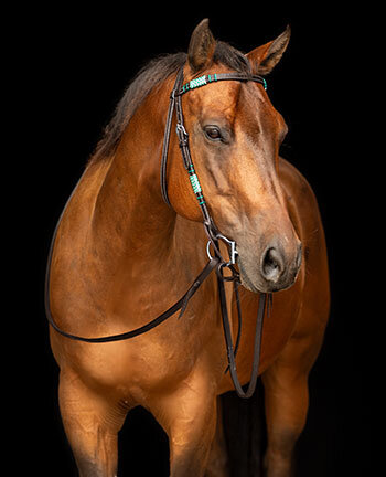 Bridons frontal droit