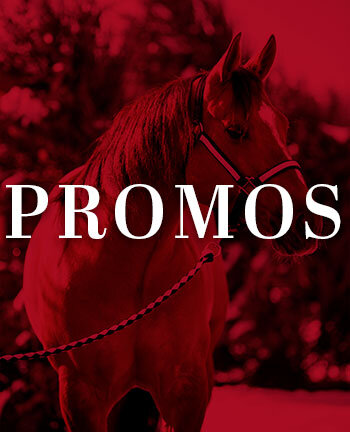 Licols & longes western