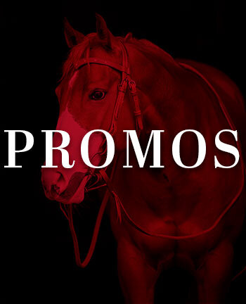 Bridons & mors western