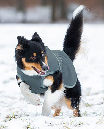 Vestes & manteaux pour chiens