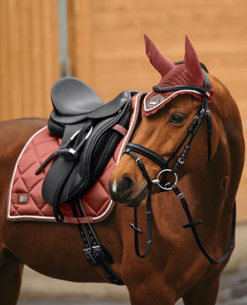 Cheval - Nouveau - Kramer Equitation