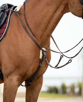 Colliers de chasse & martingales
