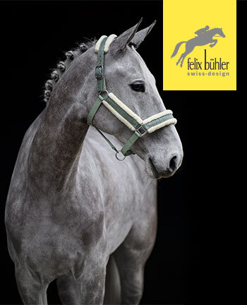 Felix Bhler Licols & longes
