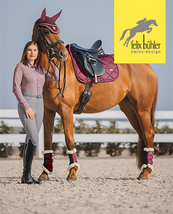 Felix Bhler Essential