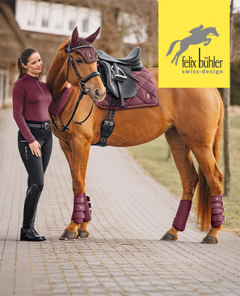 Felix Bhler Night Sky