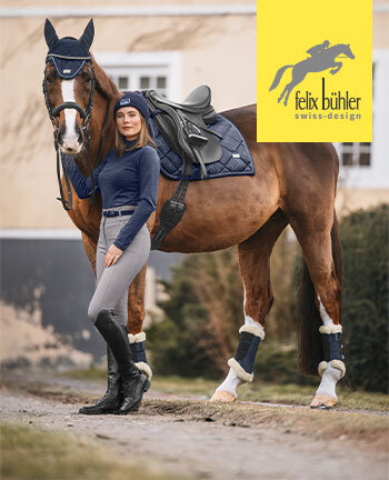 Felix Bhler Signature II