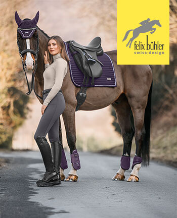 Felix Bhler Sophistication