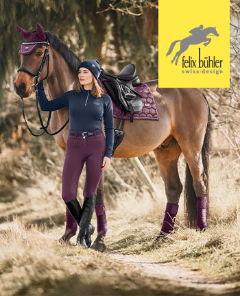 Felix Bhler Sparkling II