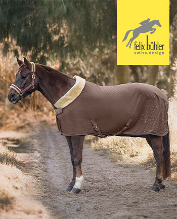 Felix Bhler Chemises schantes