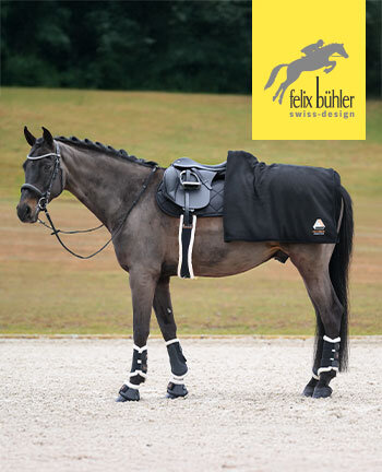 Felix Bhler Articles de thrapie