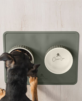 Gamelles & accessoires de voyage pour chien