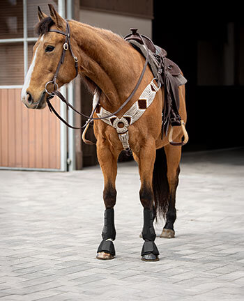 Pour le cheval western