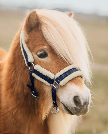 Licols pour poneys & poulains