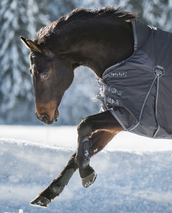 Couvertures pour chevaux