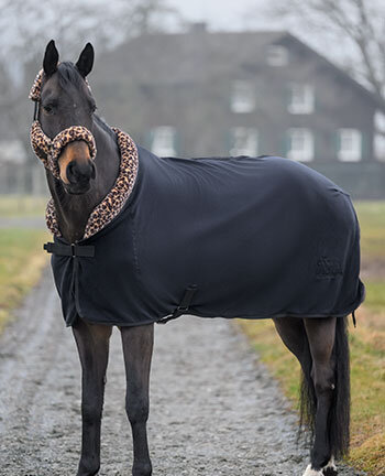 Couvertures schantes