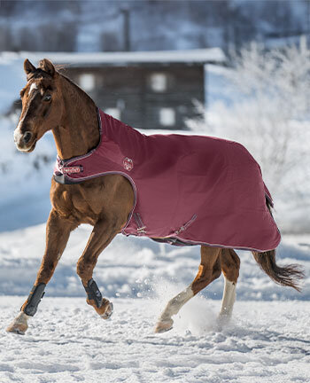 Chemises de marcheur