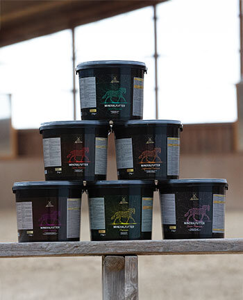 Alimentation pour chevaux