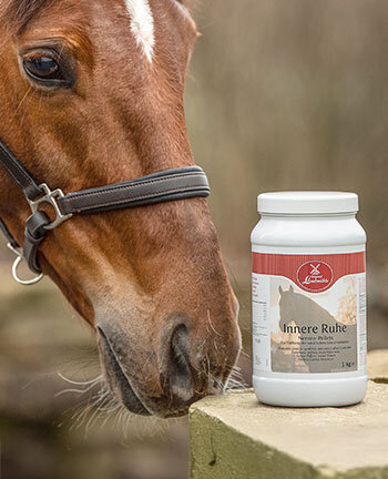 Renforcement des nerfs