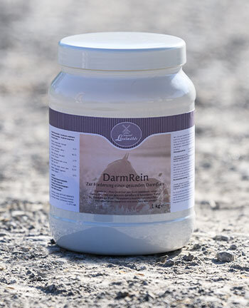 Digestion & Mtabolisme