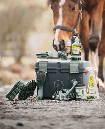 Produits de soins pour chevaux