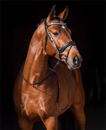 Briderie & accessoires