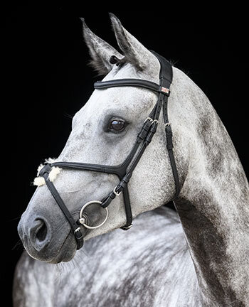 Muserolle allemande & croise