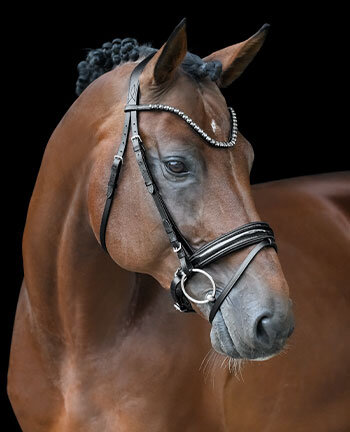 Muserolle sudoise & brides