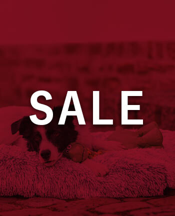 Couchages pour chien