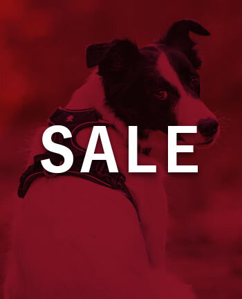 Colliers & laisses pour chien