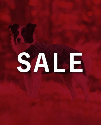 Vestes & manteaux pour chien